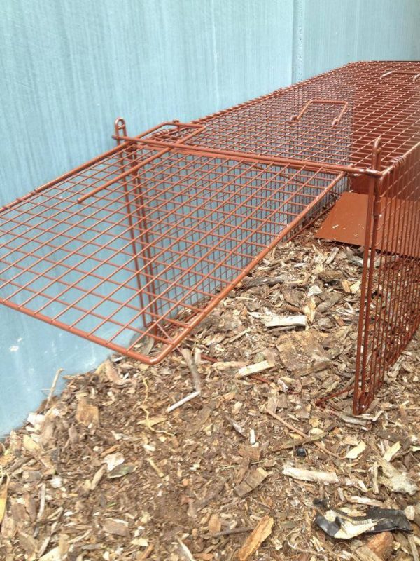 The Fox Magnet Trap - Image 2