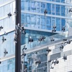 Architect Bird Proofing Guide