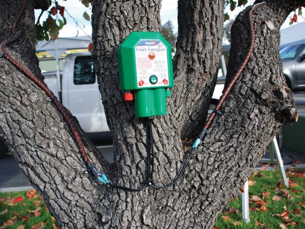 AvePro Tree Shock - Electrified Deterrent - Image 5